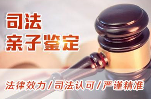 江苏省司法亲子鉴定的流程,司法亲子鉴定采集哪些样本