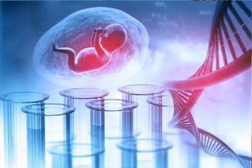 刚怀孕如何鉴定宝宝是谁的[江苏省],孕期亲子鉴定结果准不准确