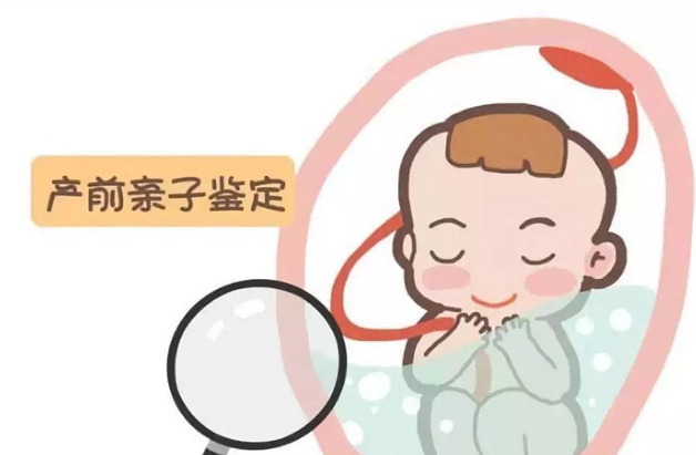 江苏省怀孕期间如何办理孕期亲子鉴定,