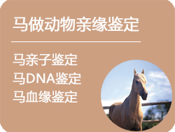 江苏省马做动物亲缘鉴定