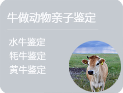 江苏省牛做动物亲子鉴定