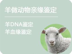 江苏省羊做动物亲缘鉴定